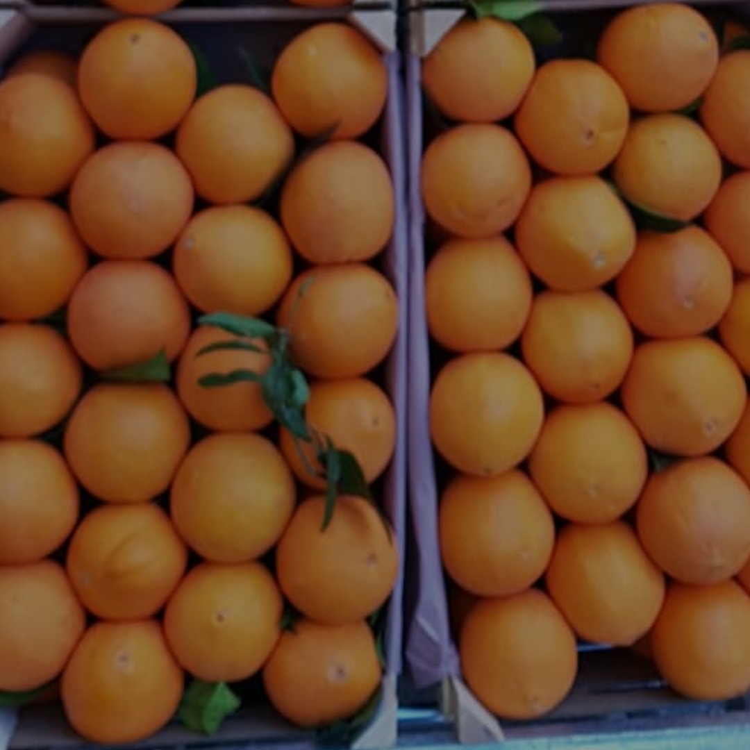 http://Maurizio%20Ortofrutta